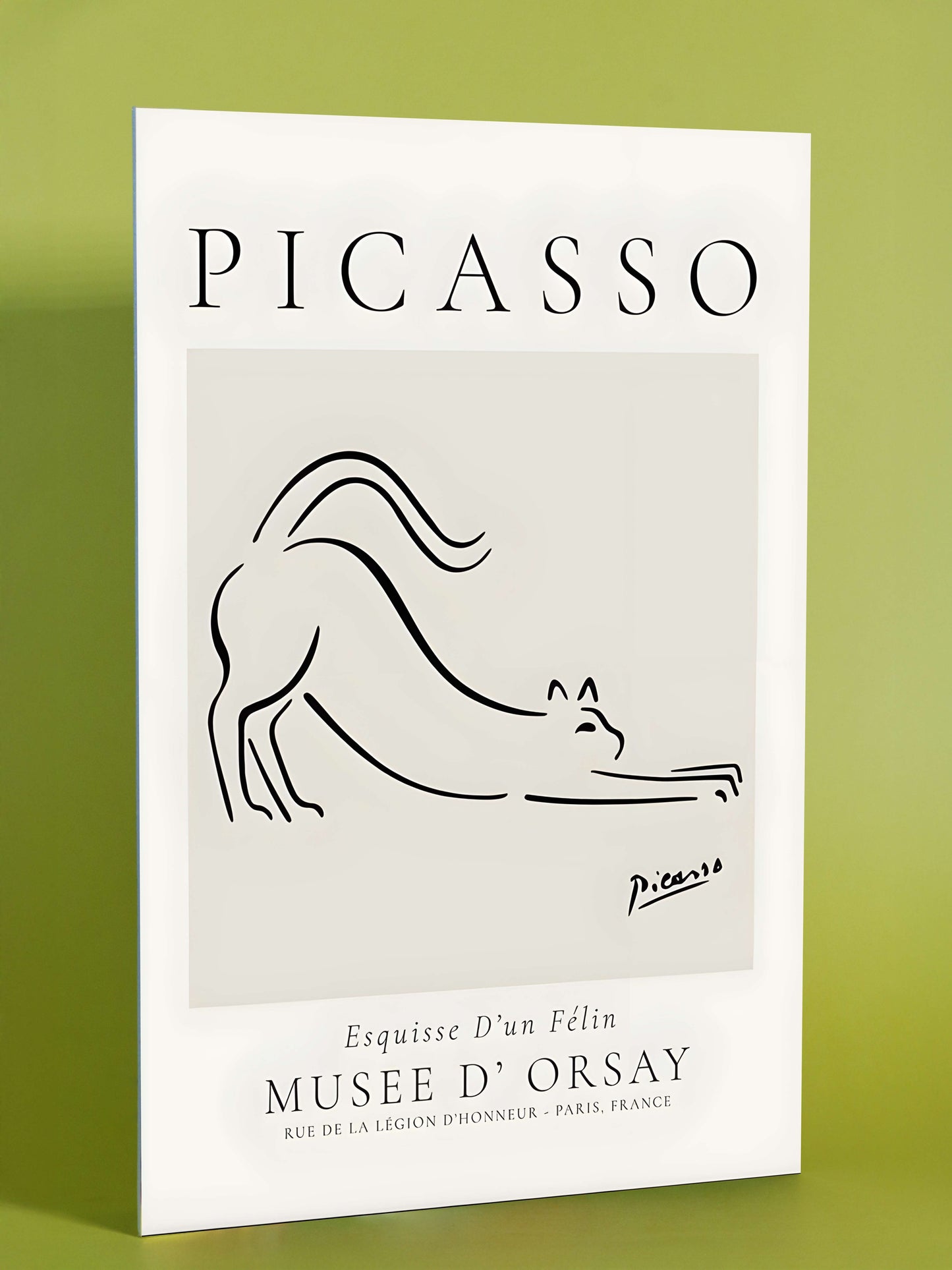 Picasso-Inspired Cat Sketch Art Poster