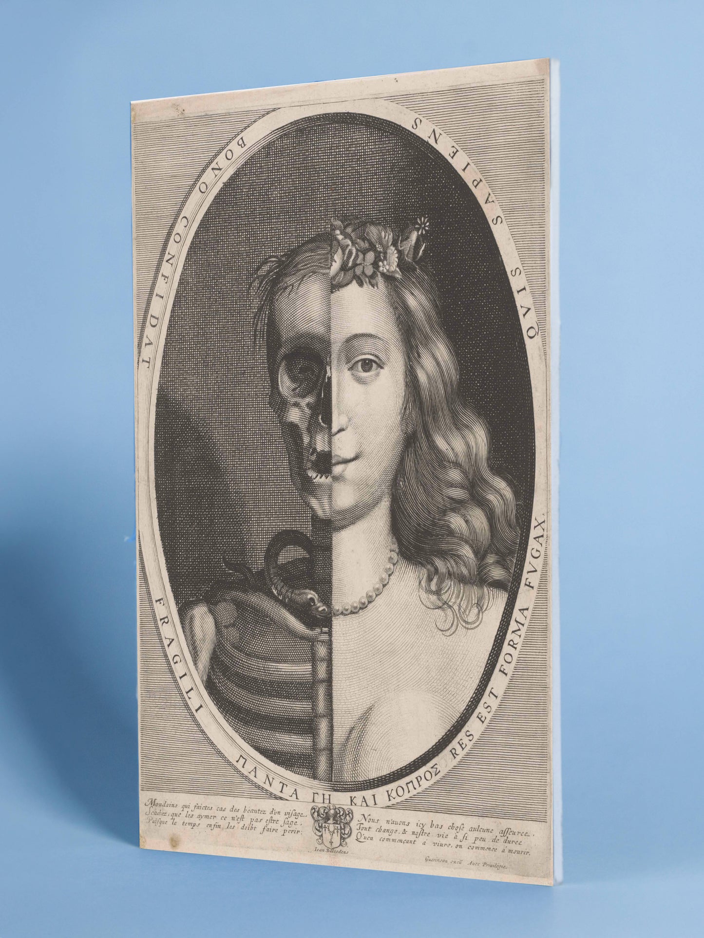 Vanitas: Beauty & Mortality Duality