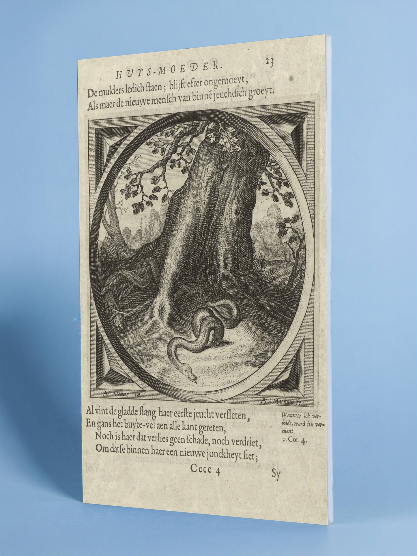 Serpent Shedding – Dutch Engraving