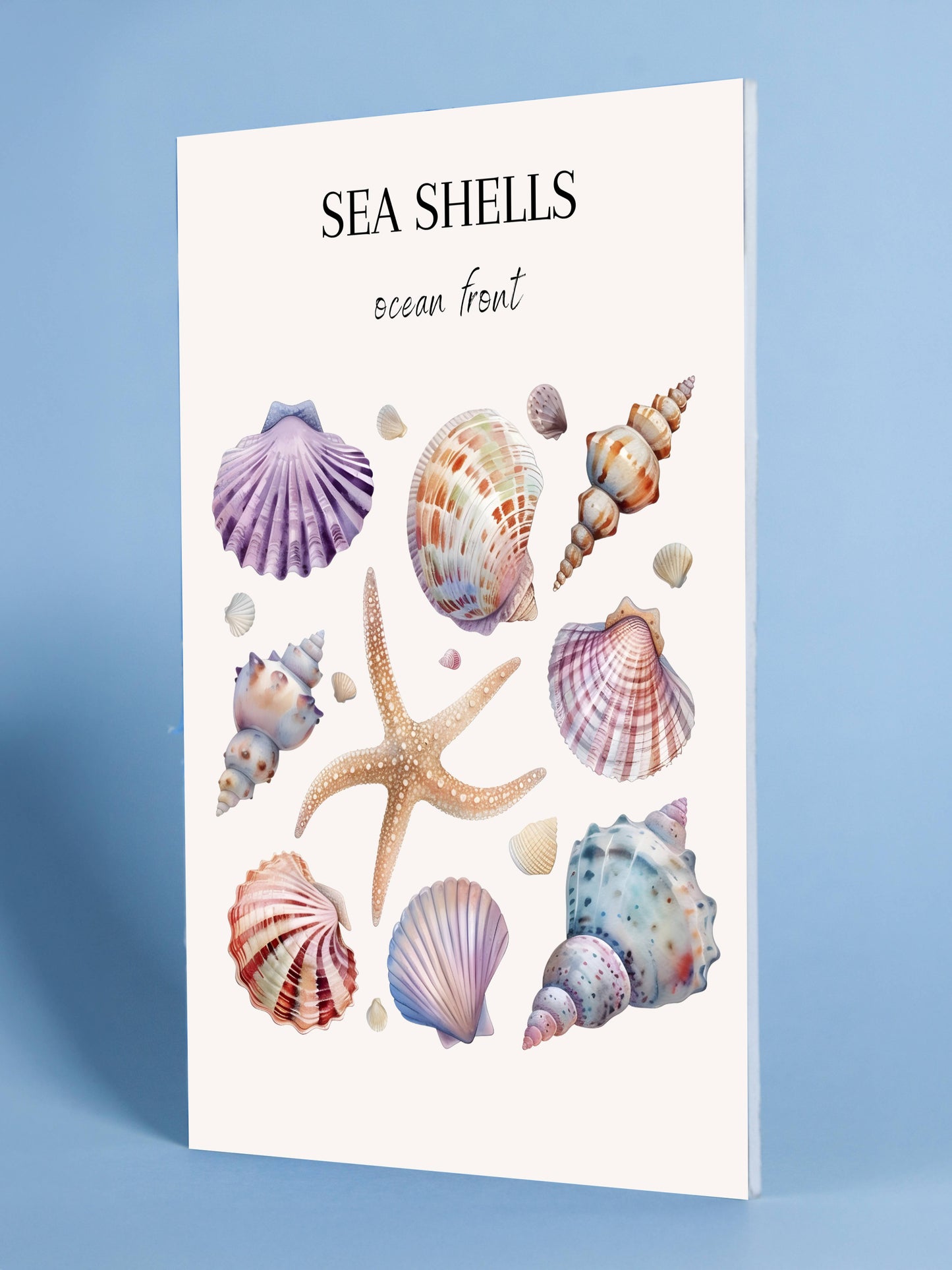 Sea Shells Poster – Ocean Front Collection