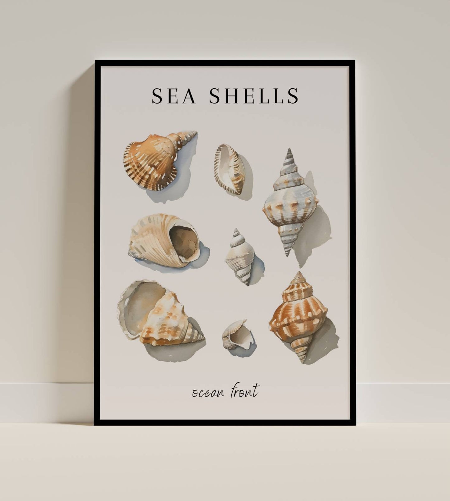 Sea Shells – Ocean Front