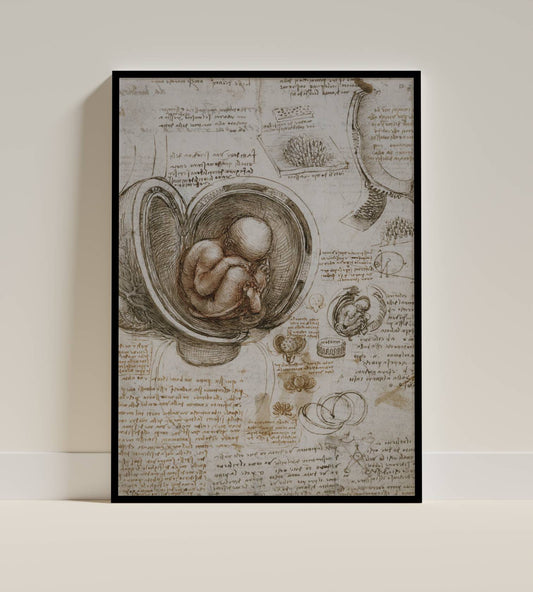 Leonardo da Vinci Anatomical Sketch Poster