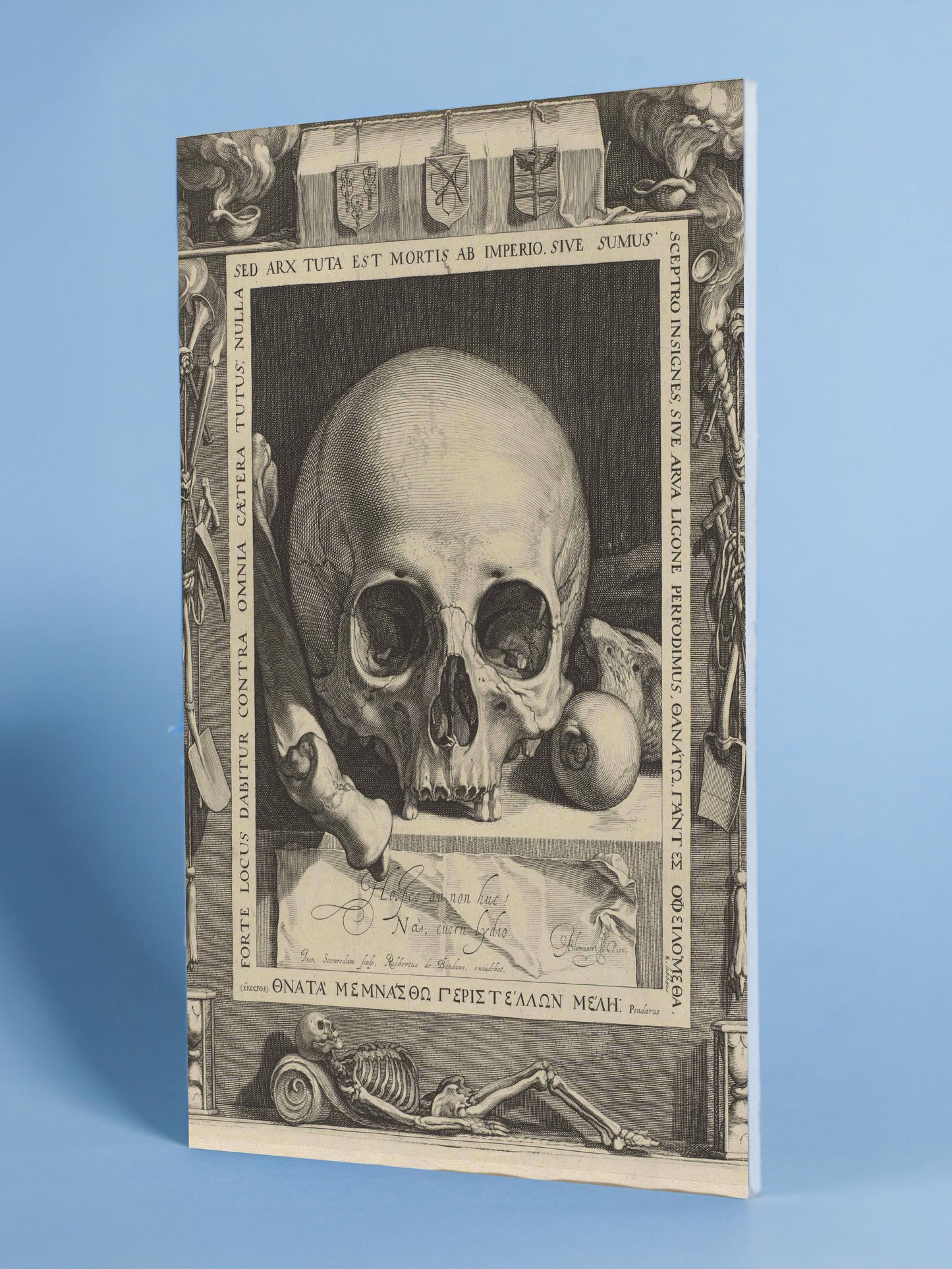 Memento Mori Skeletons & Latin Motto