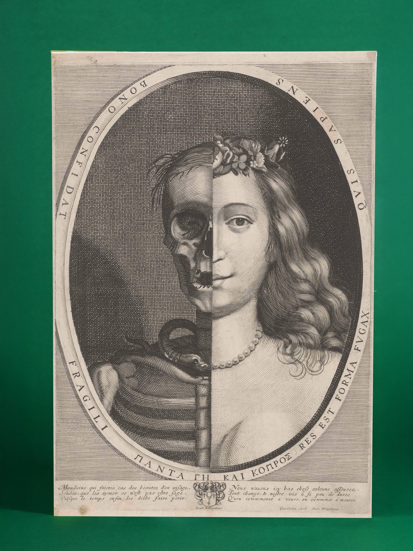 Vanitas: Beauty & Mortality Duality