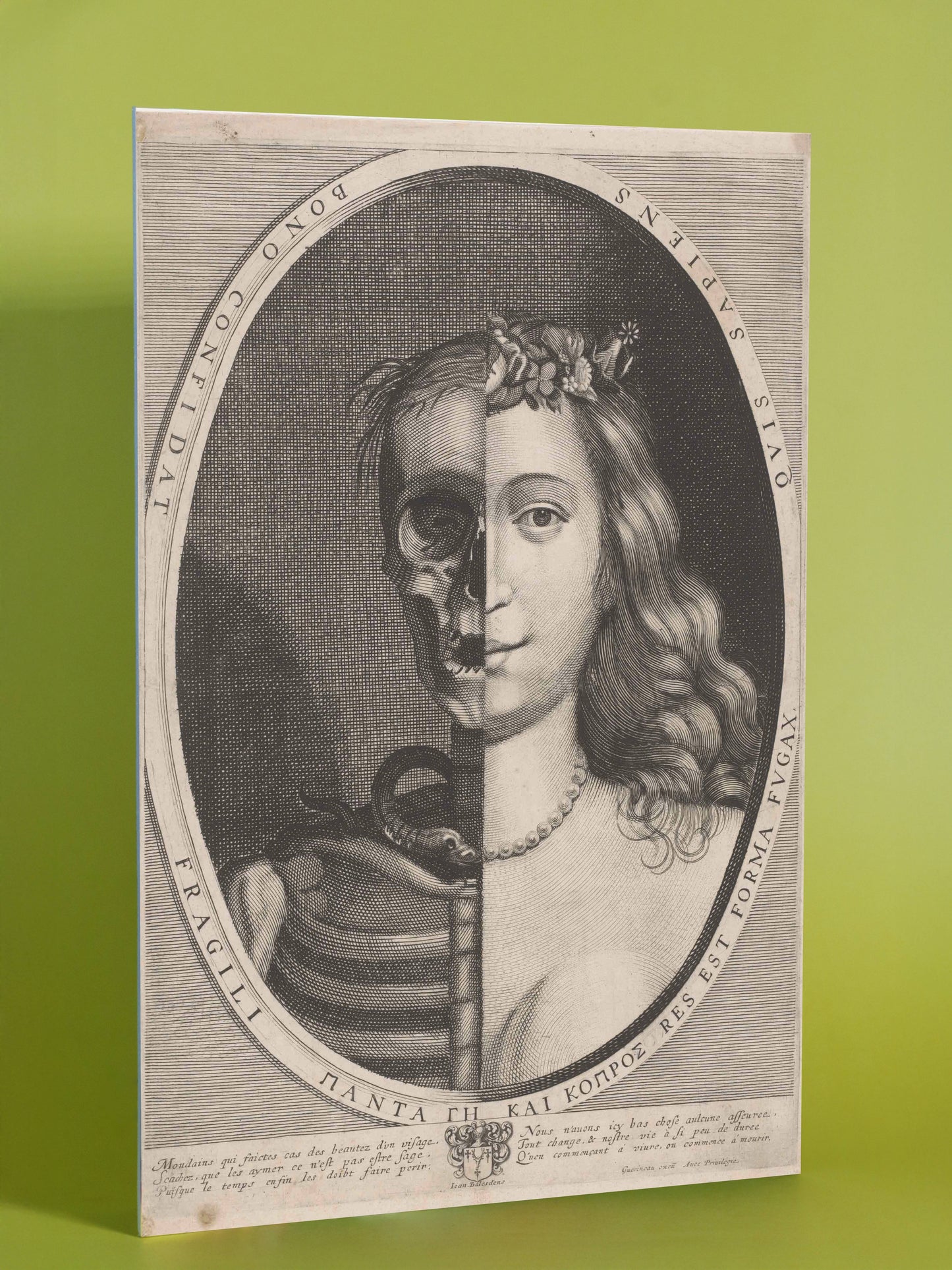 Vanitas: Beauty & Mortality Duality