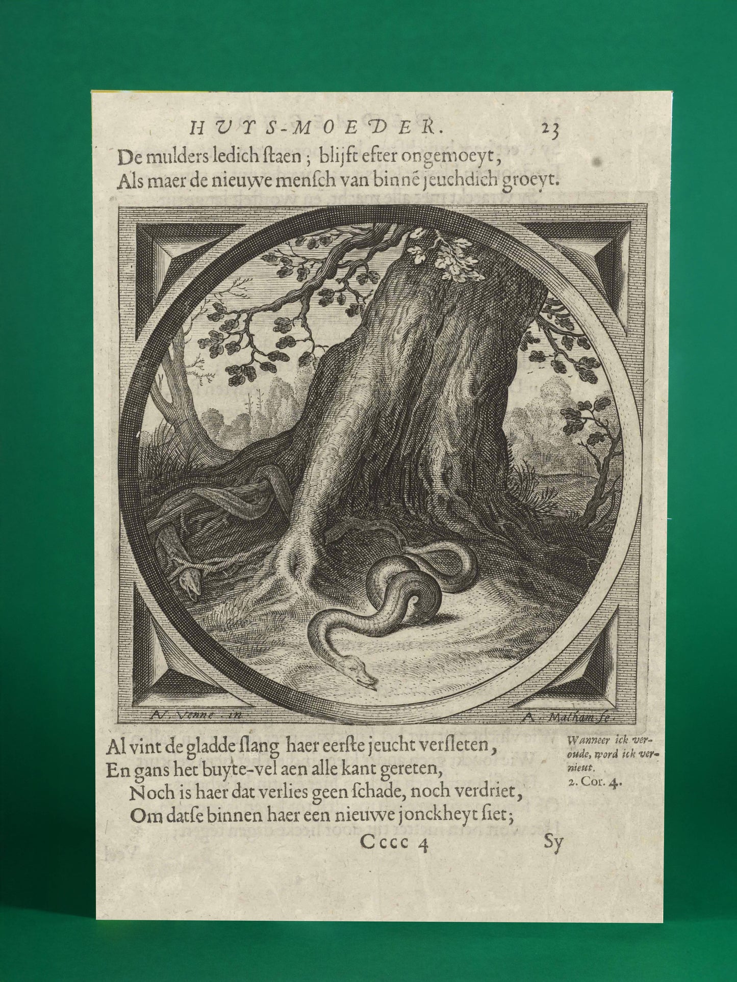 Serpent Shedding – Dutch Engraving