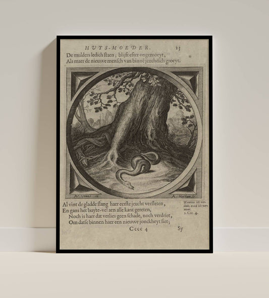 Serpent Shedding – Dutch Engraving